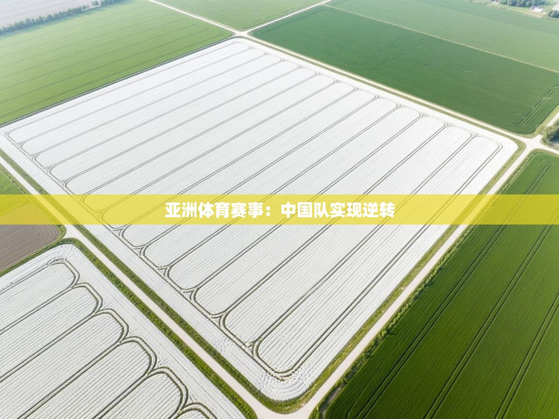 亚洲体育赛事：中国队实现逆转  第2张