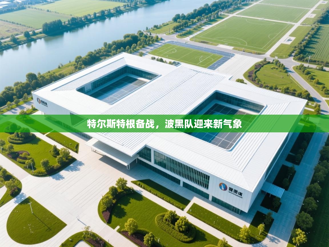 特尔斯特根备战,波黑队迎来新气象 第1张