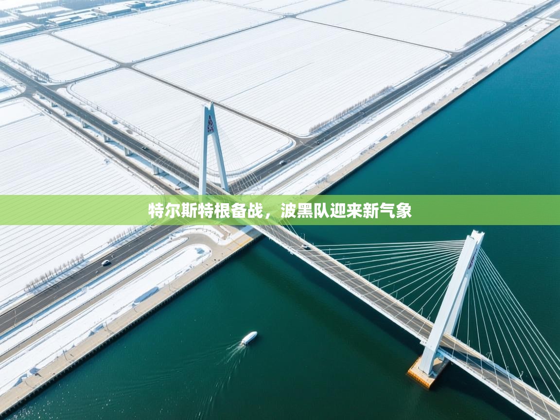 特尔斯特根备战,波黑队迎来新气象 第2张